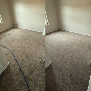 Impressive Carpet Cleaning Service Project in San Antonio TX 78233