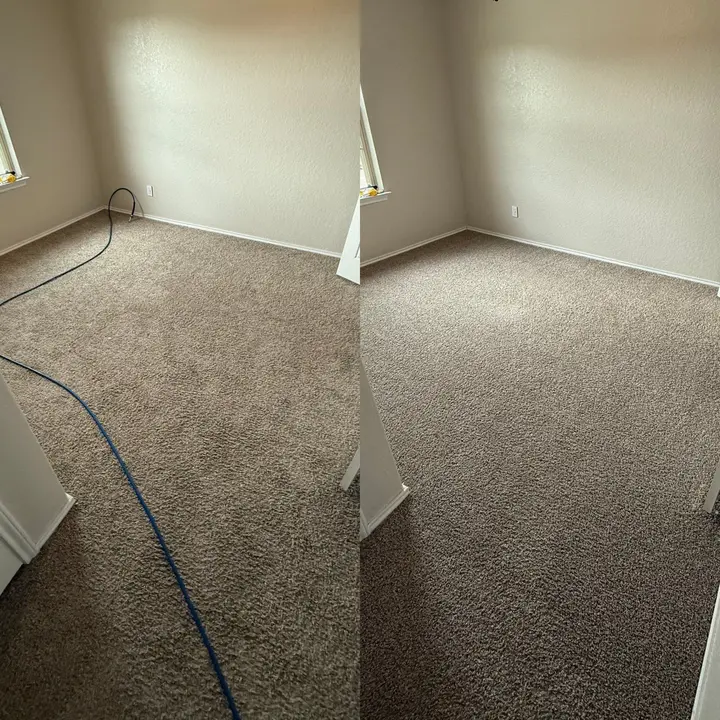 Impressive Carpet Cleaning Service Project in San Antonio TX 78233