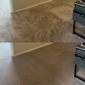 Incredible Carpet Cleaning Project in San Antonio TX 78259