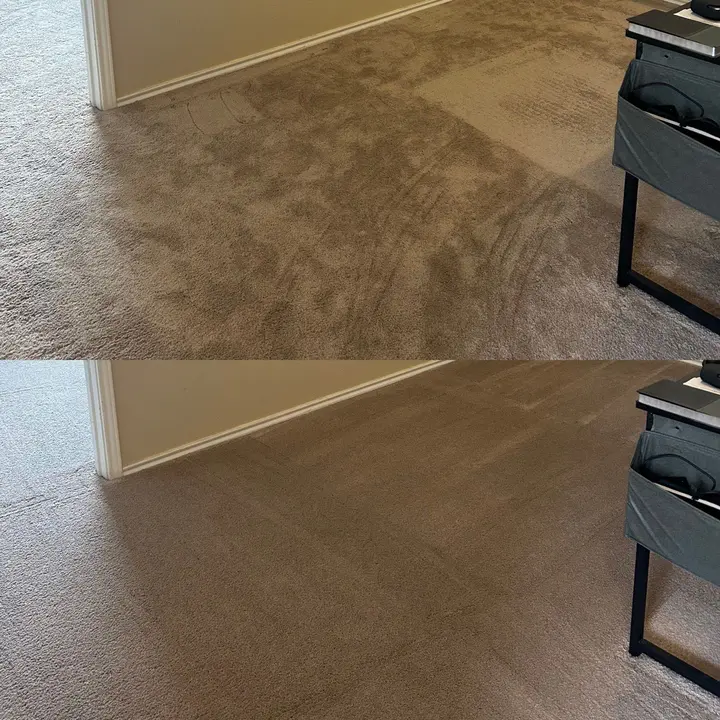 Incredible Carpet Cleaning Project in San Antonio TX 78259