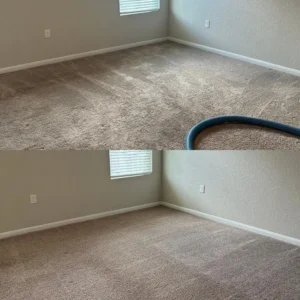 Incredible Carpet Cleaning Restoration Project in San Antonio TX 78222