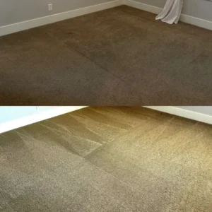 Remarkable Carpet Cleaning Project in Bulverde TX 78163
