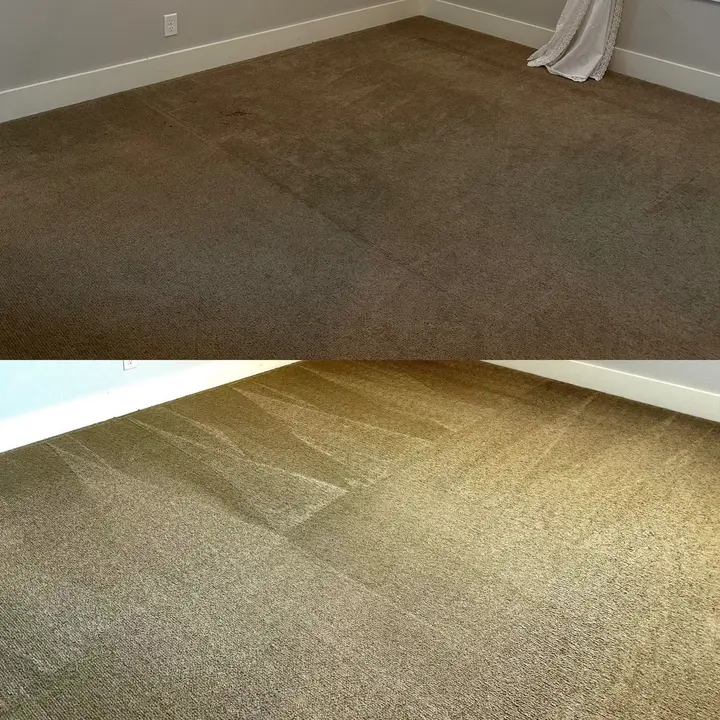 Remarkable Carpet Cleaning Project in Bulverde TX 78163