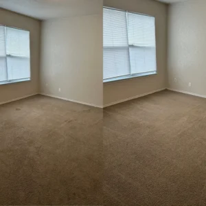 Should I Get a Professional to Steam Clean My Carpet