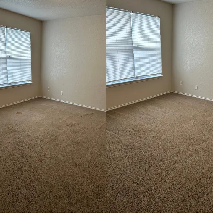 Should I Get a Professional to Steam Clean My Carpet
