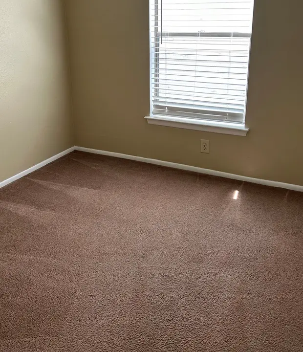 Steam Cleaing Move Out Carpet Cleaning Process