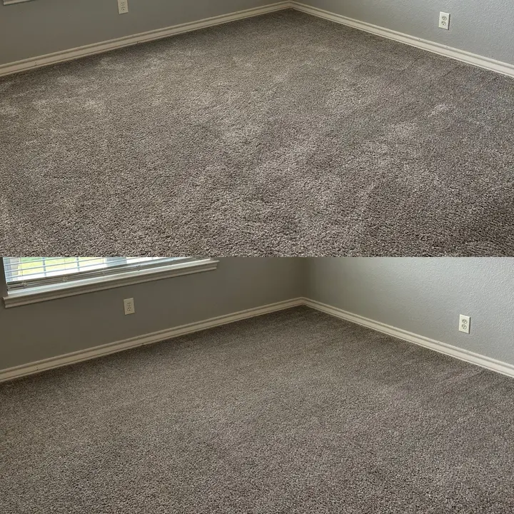 Steam Clean to Keep your Home free from Dust Mites and Allergens