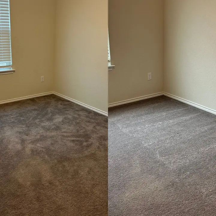 Thorough Carpet Cleaning Restoration Project in San Antonio TX 78254