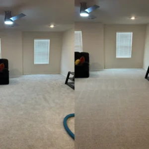 Exceptional Carpet Cleaning Service Project in San Antonio TX 78245