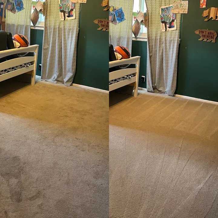 Incredible Carpet Restoration Project in San Antonio TX 78216