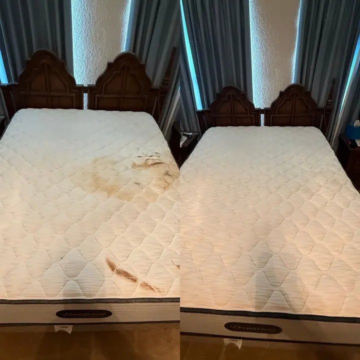 Mattress Deep Clean And Sanitation  
Carpet Cleaning After Biohazard Work  
Extreme Sanitation For Mattress Stains   Project in San Antonio TX 78238