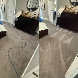 Wool Carpet Cleaning With Cold Water Natural Fiber Carpet Odor Eliminated Professional Shampoo For Wool Carpets Project in San Antonio TX 78255