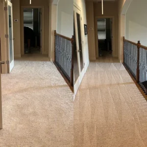 what Chemicals Should Be Used By A Professional Who Is Steam Cleaning Your Carpet?