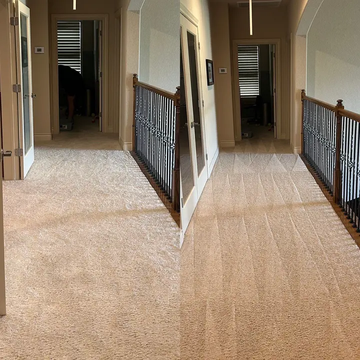 what Chemicals Should Be Used By A Professional Who Is Steam Cleaning Your Carpet?