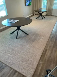 Area Rug Cleaning At Home Fine Fabric Upholstery Deep Clean Pet Odor Removed From Upholstery Project in Converse TX 78109