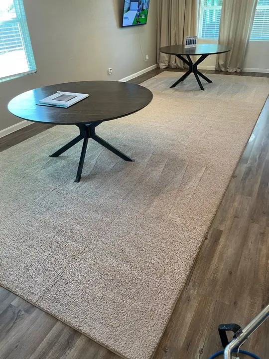 Area Rug Cleaning At Home  
Fine Fabric Upholstery Deep Clean  
Pet Odor Removed From Upholstery   Project in Converse TX 78109