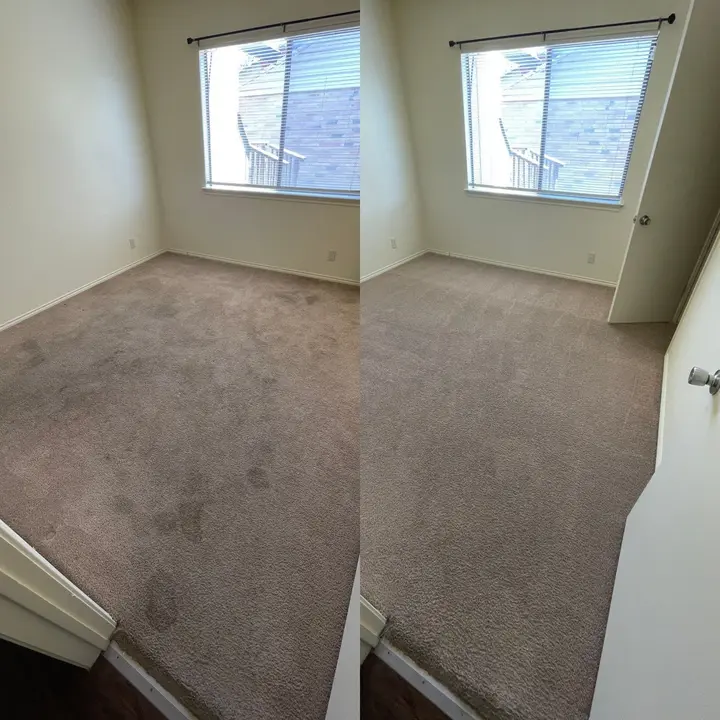 Carpet Clean With Deep Soiling Treatment  
Pet Urine Odor Removed From Carpet  
Steam Cleaning For Stained Upholstery   Project in San Antonio TX 78233