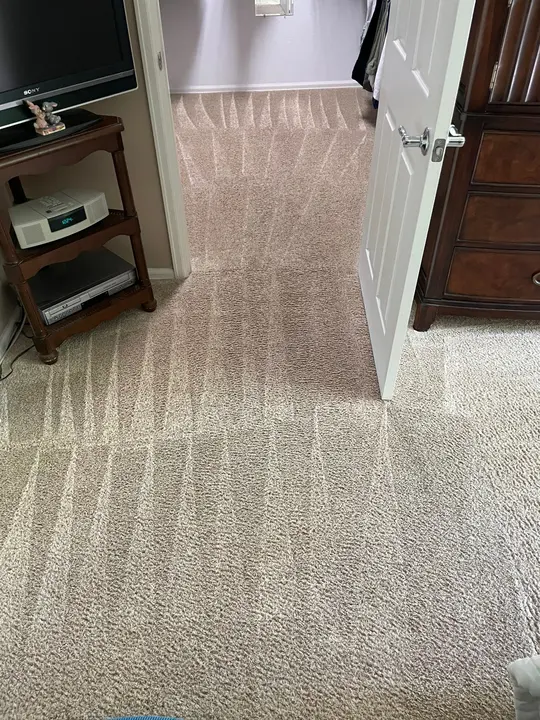 Carpet Cleaning For A Healthy Home  
Deep Steam Clean For Fresh Carpets  
San Antonio’S Top Carpet Cleaners Project in San Antonio TX 78253