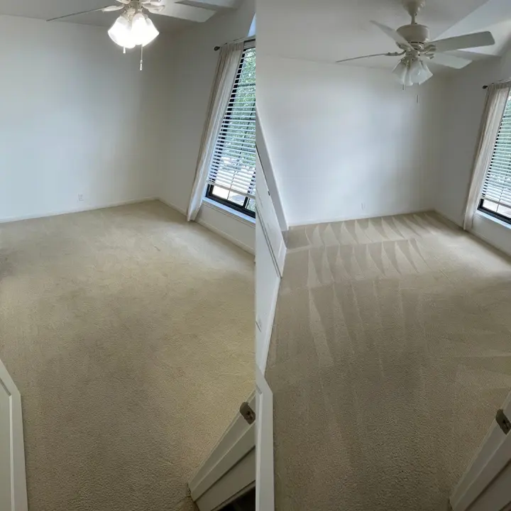 Pet Urine Removal From Carpet  
Deep Cleaning For Upholstery  
Tile And Grout Deep Clean Project in San Antonio TX 78232