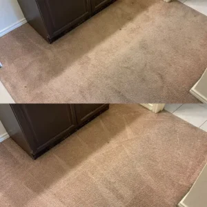 Carpet Cleaning Is Being Performed On A Light Colored Carpet Removing Stains And Dirt From The Surface beyer carpet cleaning gallery