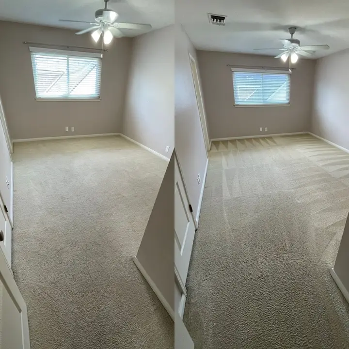 The Service Shown Is Carpet Cleaning In A Room With A Visible Contrast Between Cleaned And Uncleaned Areas