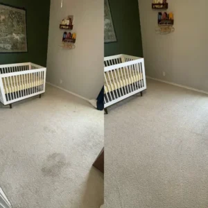 Beyer Carpet Cleaning Wants you to feel Clean and Sanitary