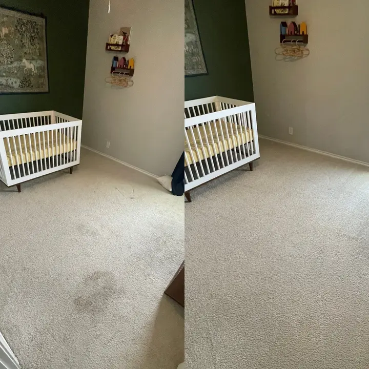 Beyer Carpet Cleaning Wants you to feel Clean and Sanitary