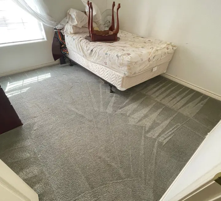Carpet Cleaning For Pet Urine Stains  
Upholstery Steam Cleaning For Fine Fabrics  
Mattress Deep Clean For Fresh Sleep Project in San Antonio Tx 78233
