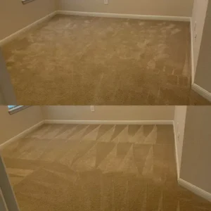 Eco-Friendly Carpet Cleaning Solutions San Antonio Carpet Cleaning Experts Deep Clean For Fresh Carpets Project in San Antonio TX 78255