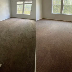 Pet Urine Cleaned From Carpet Eco Friendly Pet Odor Removal San Antonio Carpet Cleaning Service Project in San Antonio TX 78245