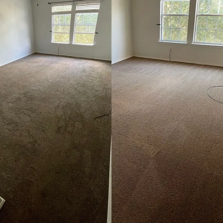 Pet Urine Cleaned From Carpet  
Eco Friendly Pet Odor Removal  
San Antonio Carpet Cleaning Service   Project in San Antonio TX 78245