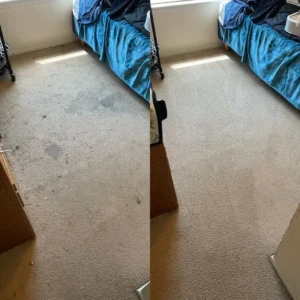 Pet Urine Cleanup For Carpet Restoration Drink Stain Removal From Upholstery Steam Clean To Revive Fine Fabric Project in San Antonio TX 78223