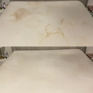 Upholstery and Bed Mattress Cleaning with Biohazard and Urine Removal