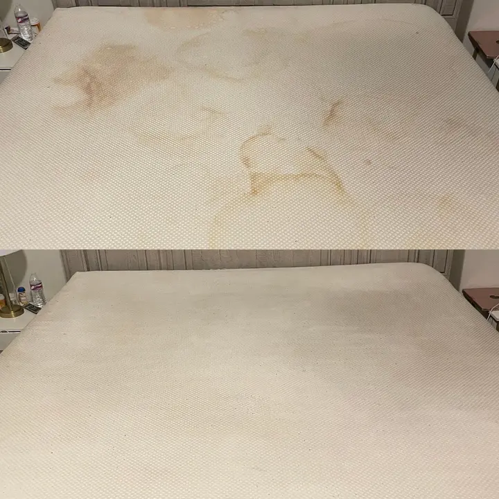 Upholstery and Bed Mattress Cleaning with Biohazard and Urine Removal