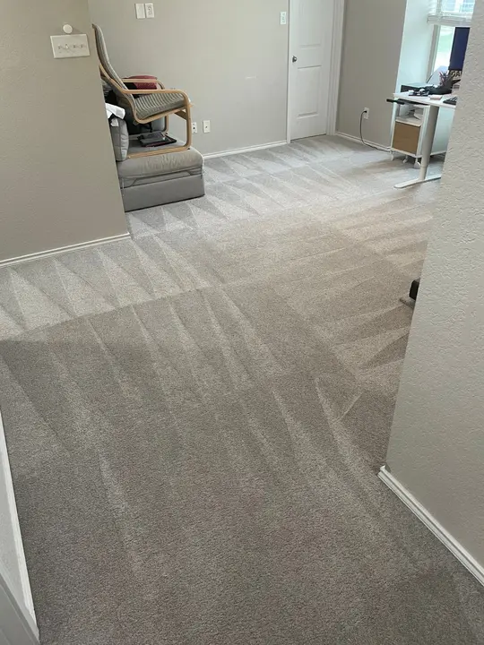 Carpet Clean To Remove Drink Stains  
Upholstery Cleaning For Pet Urine  
Tile And Grout Deep Clean Service   Project in