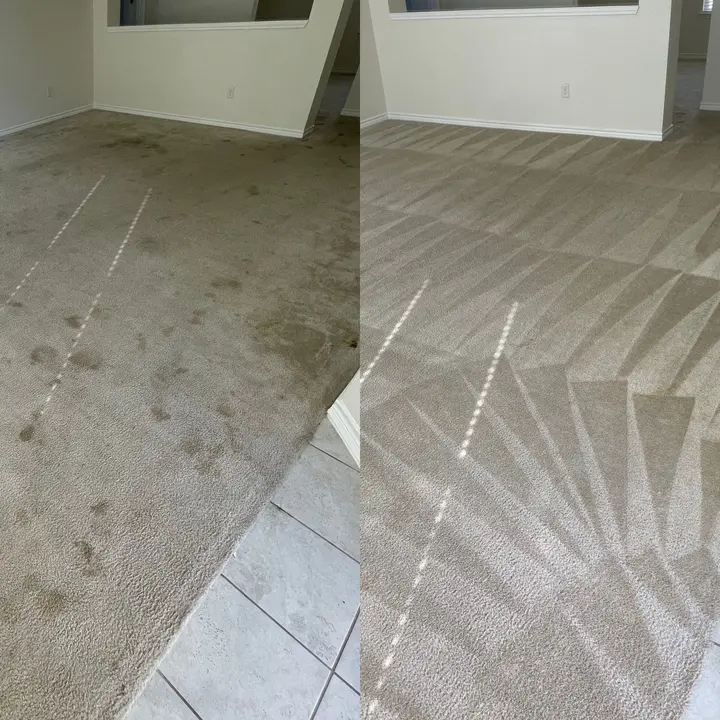 Carpet Restoration After Extreme Stains  
Deep Cleaning For Stained Carpet  
Hot Water Extraction Carpet Clean Project in San Antonio TX 78223