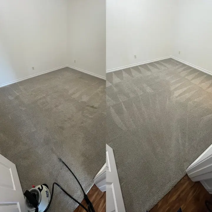Deep Steam Clean After Pet Stains  
Carpet Cleaning And Sanitization Process  
Urine Stains Removed From Carpet Project in Adkins TX 78101