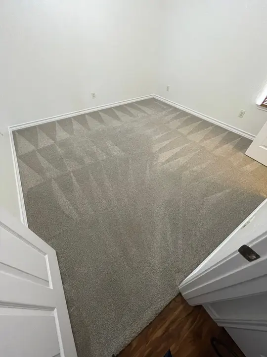 The Service Shown Is Carpet Cleaning With Noticeable Clean And Dirty Sections On The Carpet Surface After Treatment beyer carpet cleaning gallery