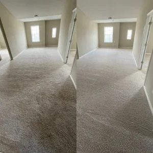 Pet Urine Odor Eliminated From Carpet Carpet Cleaning For Rental Move Out Stain Removal And Carpet Sanitization Project in San Antonio TX 78259