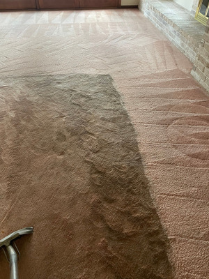 Carpet Cleaning And Pet Odor Removal in San Antonio TX