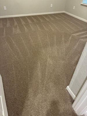Carpet Cleaning With Pet Treatment And Sanitation in San Antonio  TX